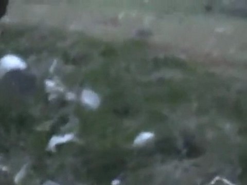 فري برس حمص باباعمرو مزارع جريح يطلق عليه النار هاام 30 1 2012