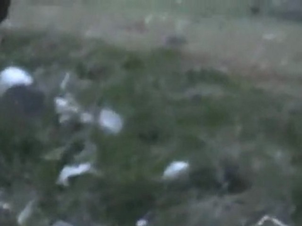 فري برس    حمص باباعمرو  مزارع جريح يطلق عليه النار هاام 30 1 2012