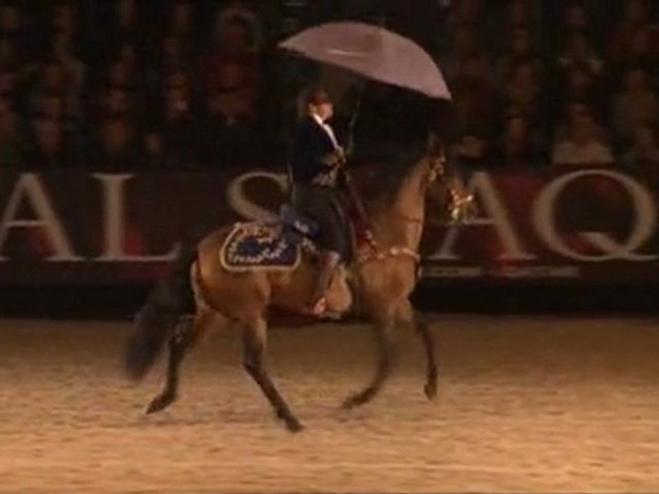 Mario Luraschi - Nuit du Cheval - Zycopolis Productions