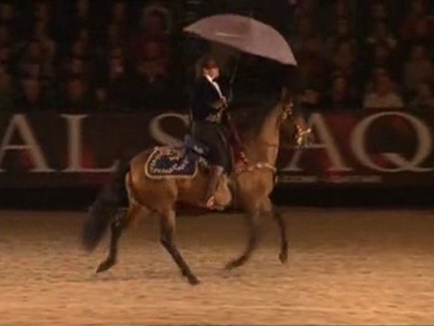 Mario Luraschi - Nuit du Cheval - Zycopolis Productions