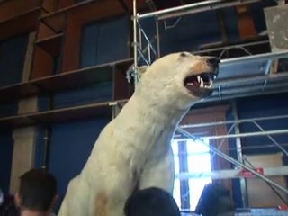 Océanomania - le cabinet de curiosité de Mark Dion