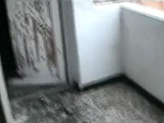 فري برس   حمص القصور آثار القصف 30 1 2012