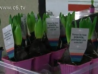 Avete mai fatto Metro Therapy? Ecco come si fa