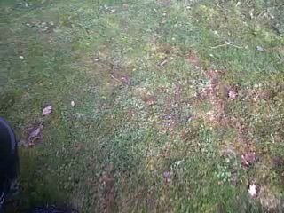 pierre 4ans enfant porteur de trisomie 21 au volant d un microtracteur