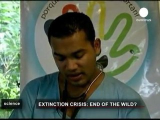 Extinction of species accelerating