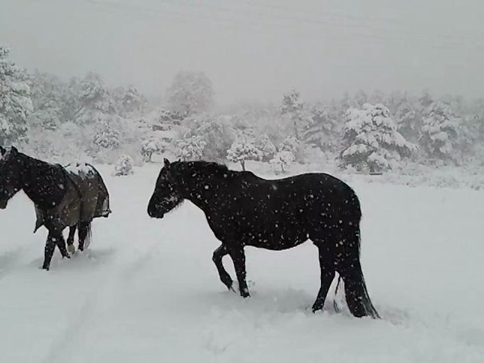 mes deux louloutes.....