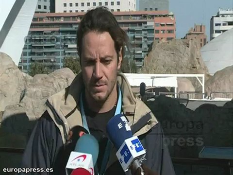 Entrenamiento de leones marinos para salvamento