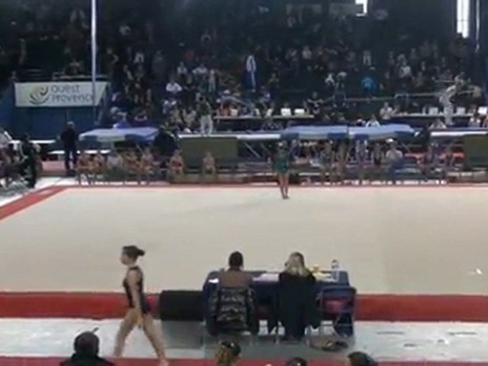 Open gym 2012 Festigym