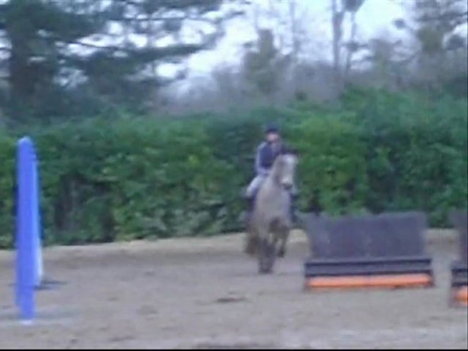 marie sophie et Gagman en saut Cross