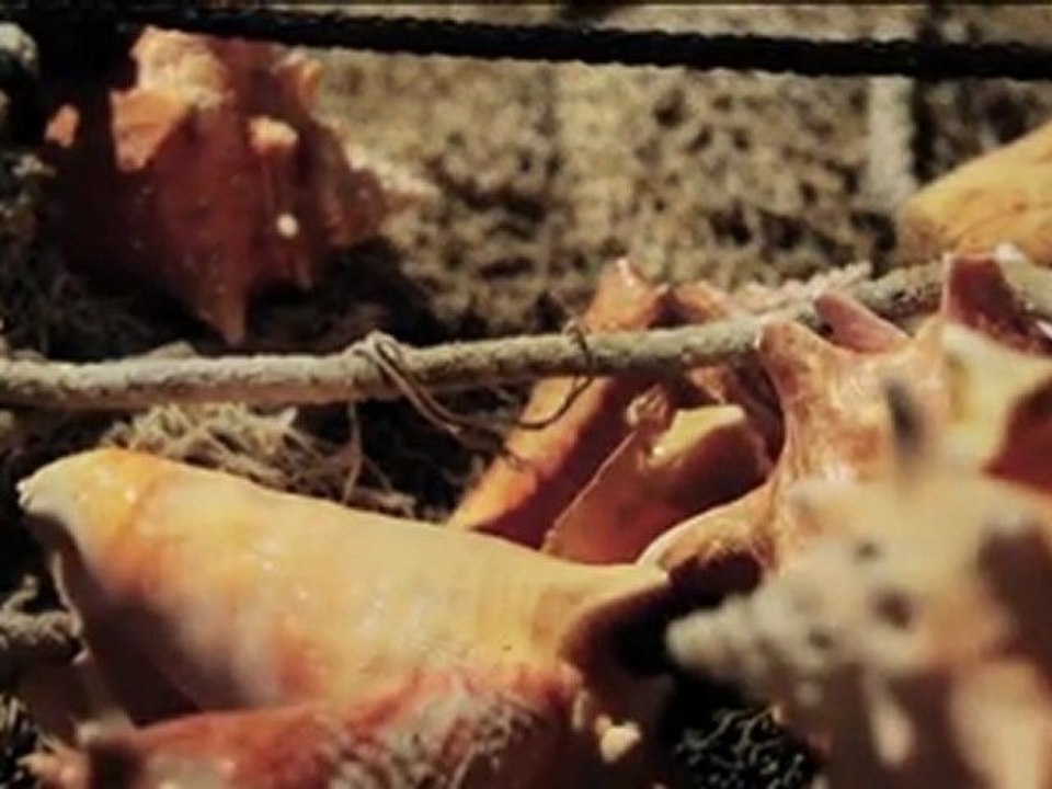 The Bahamas in Technicolor