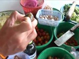 Trip Gourmand  La salade de papaye Lao - Vientiane - Laos - YouTube [freecorder.com]