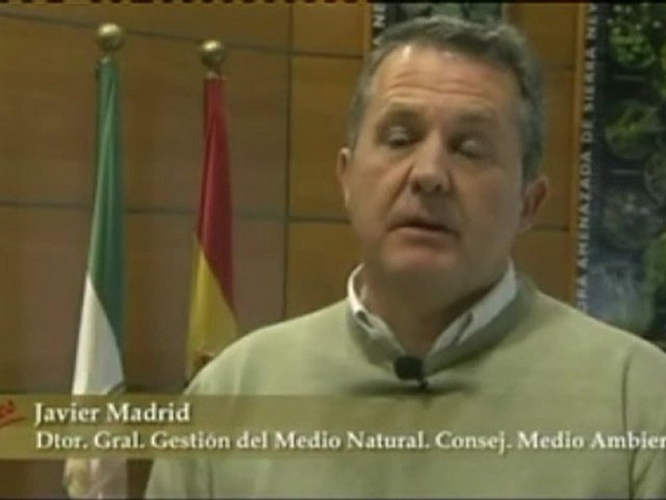 NO  al Real Decreto 1628/2011