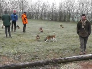 Brevet de chasse chien courant 30 Janvier 2012 dans les 2 sevres chez J.M LAIDET (le départ)