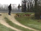 Brevet de chasse chien courant 30 Janvier 2012 dans les 2 sevres chez J.M LAIDET (suite3)