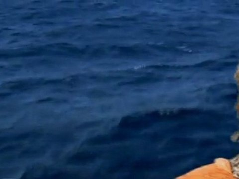 Elodie Frégé & Ledoux paradis Besoin d'Amour Télé SPI