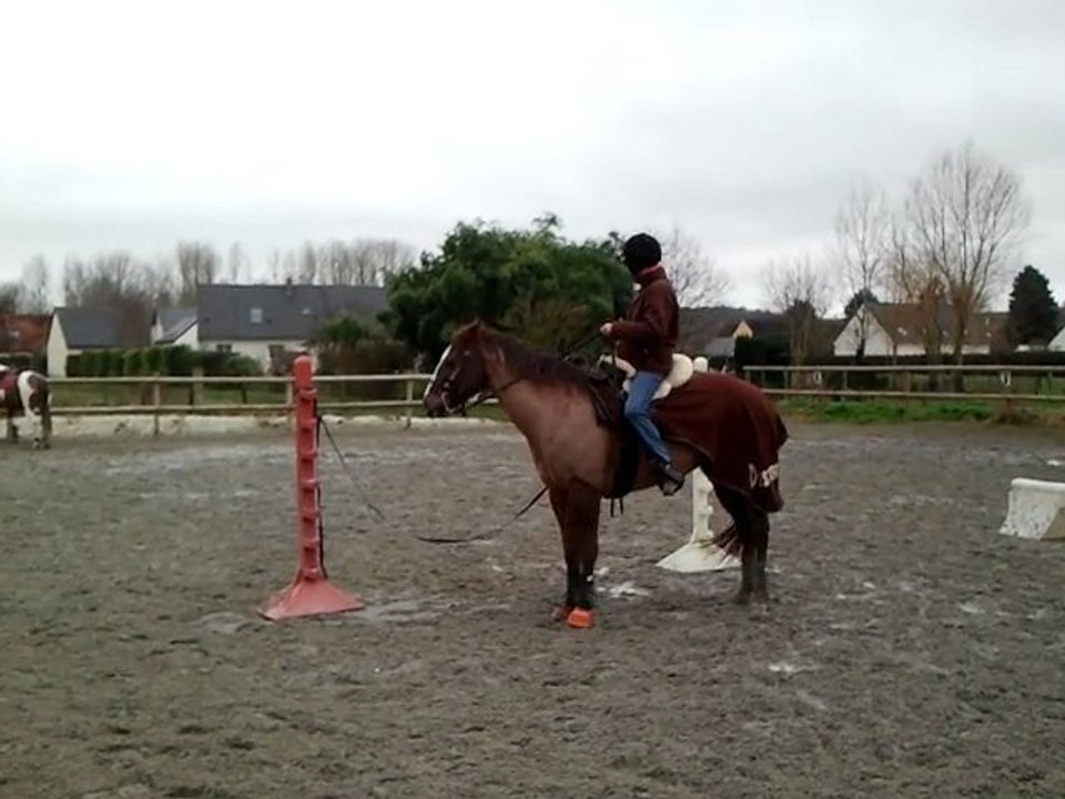 Pucky et moi le 28 janvier 2012