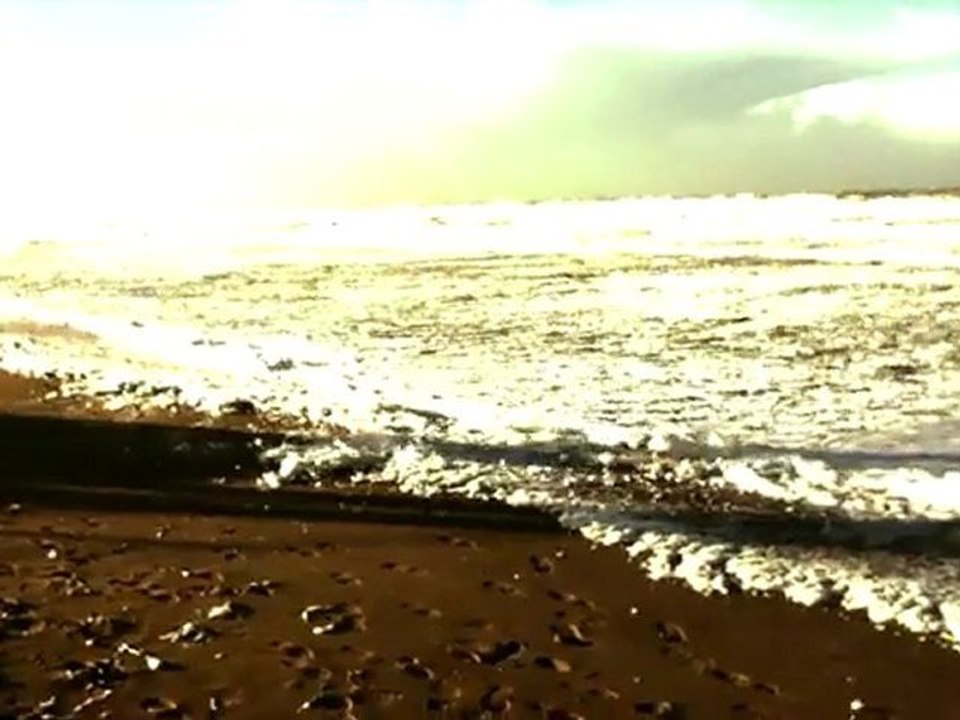 Le vent de la mer - (480 x 360)