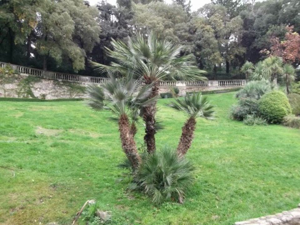 jardin de la fontaine de nimes