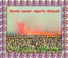 Dioxin dumped in South
