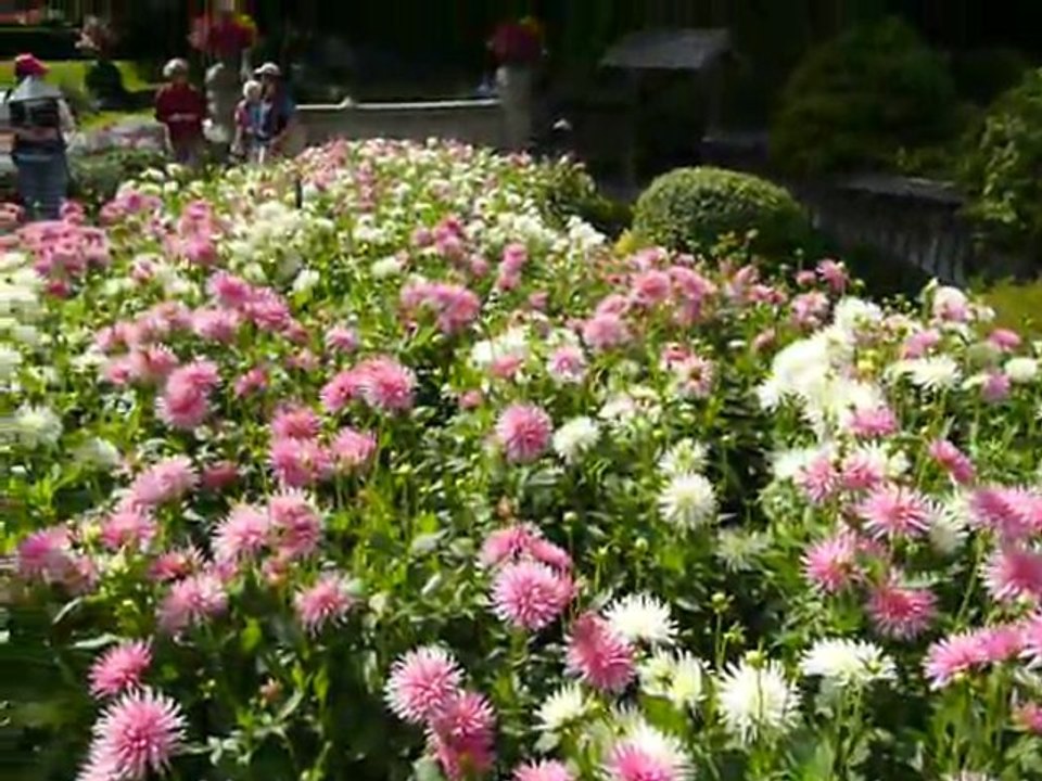 CRUISE (VIKTORIA)-2010 046