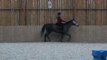 Chup a chup dressage en licol