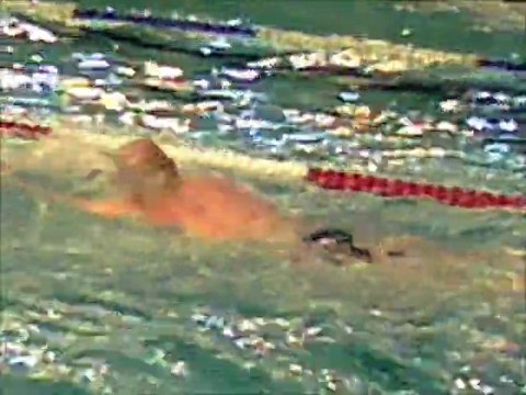 Piscine du lundi 30 janvier 2012 pour les kronos