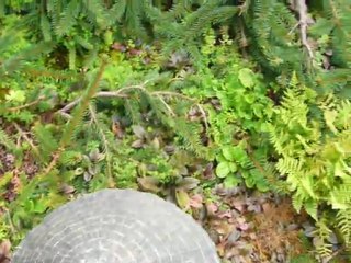 CRUISE (VIKTORIA)-2010 044