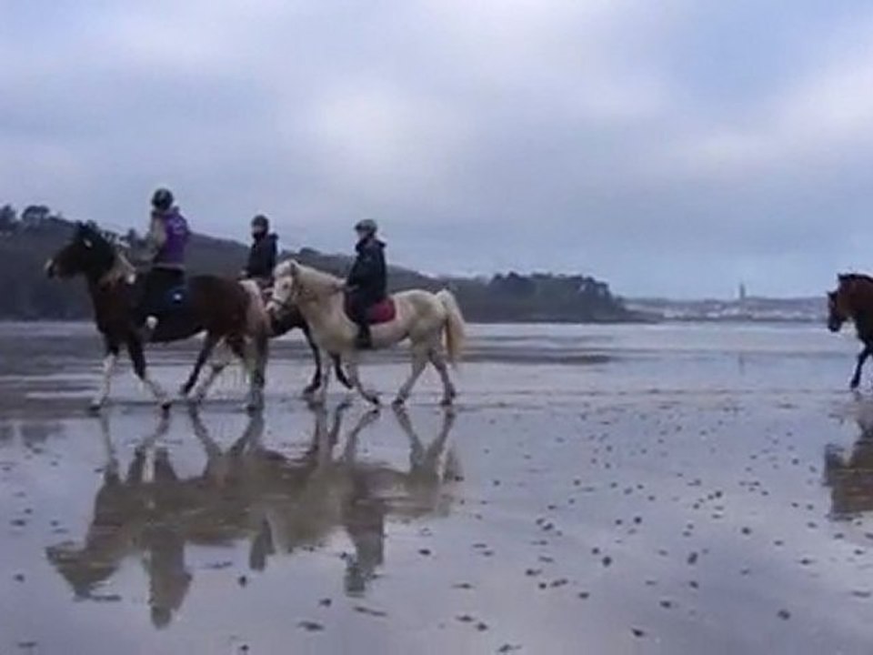 La plage du Ris à cheval