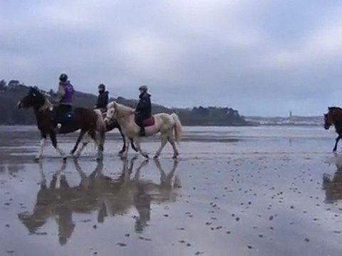 La plage du Ris à cheval