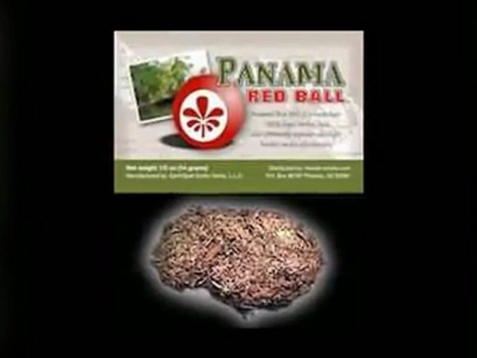 Big Head Shop offers Herbal Smoke, Legal Buds, Marijuana Alternatives and Head Shop Accessories