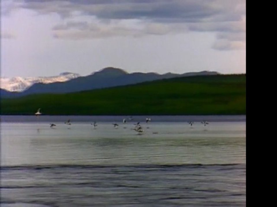 Wasted lake