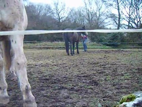 hondo et loutes le 290112