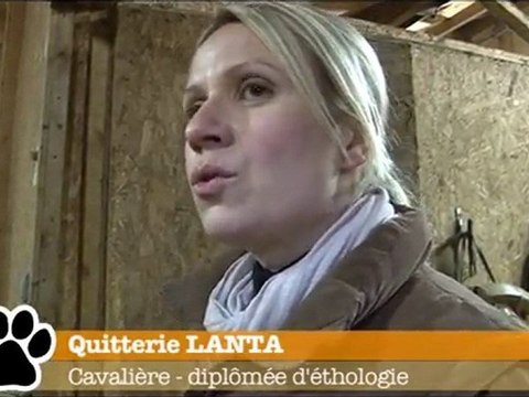 Bêtes d'Yvelines et l'équitation éthologique