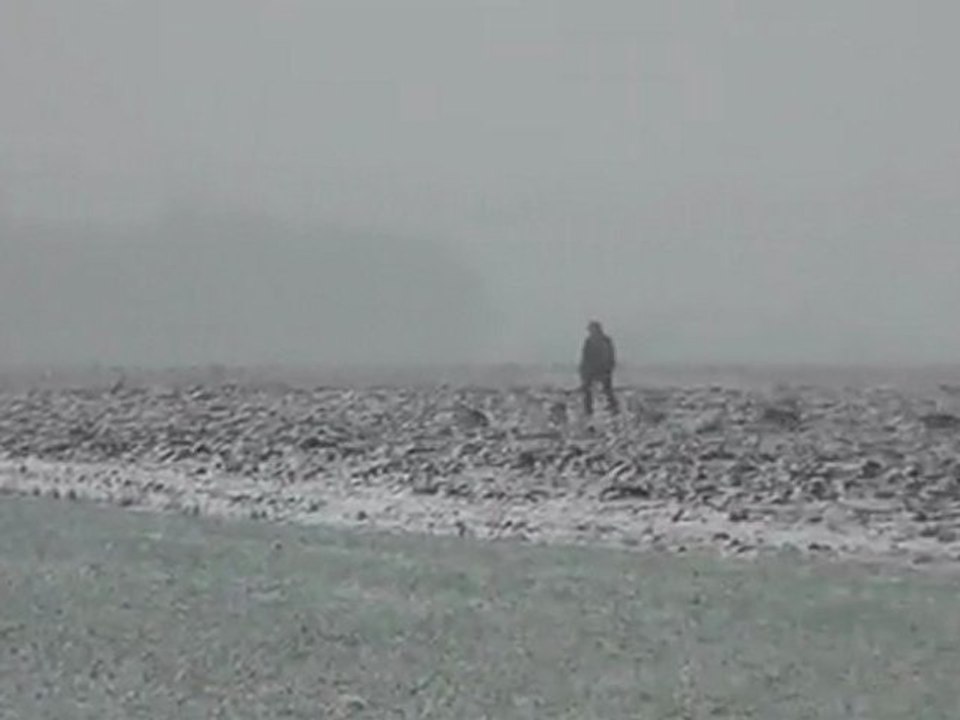 B.C.C.C 2012 les beagles des trois barreaux de la luzabert