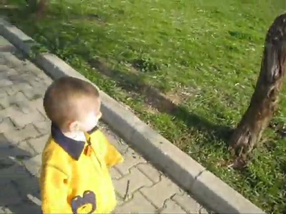 DM'nin Park Gezintisi...