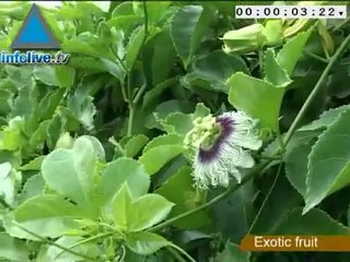 موجز اخبار التاسع عشر من اكتوبر