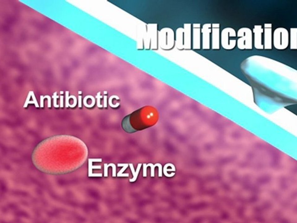 Bacterial resistance to antibiotics