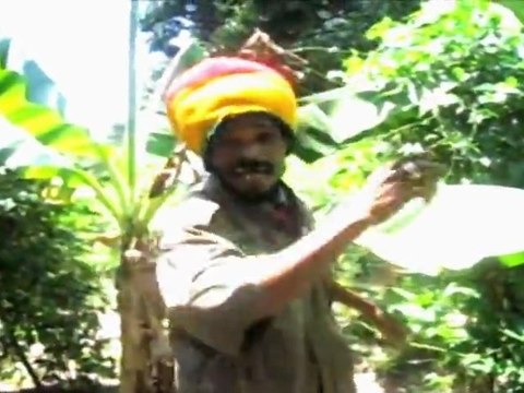 TOUCH A GOLD - Judgement Time {Official Music Video} [CULTURAL PROD] Feb 2012