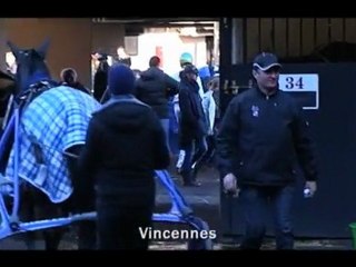 EXTRAIT - Sébastien Guarato, les raisons d'un succès - Equidia Live