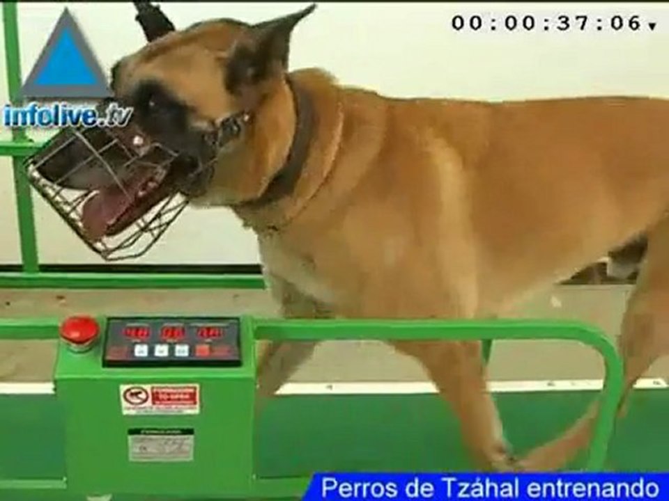 Los minutos de Inflolive
