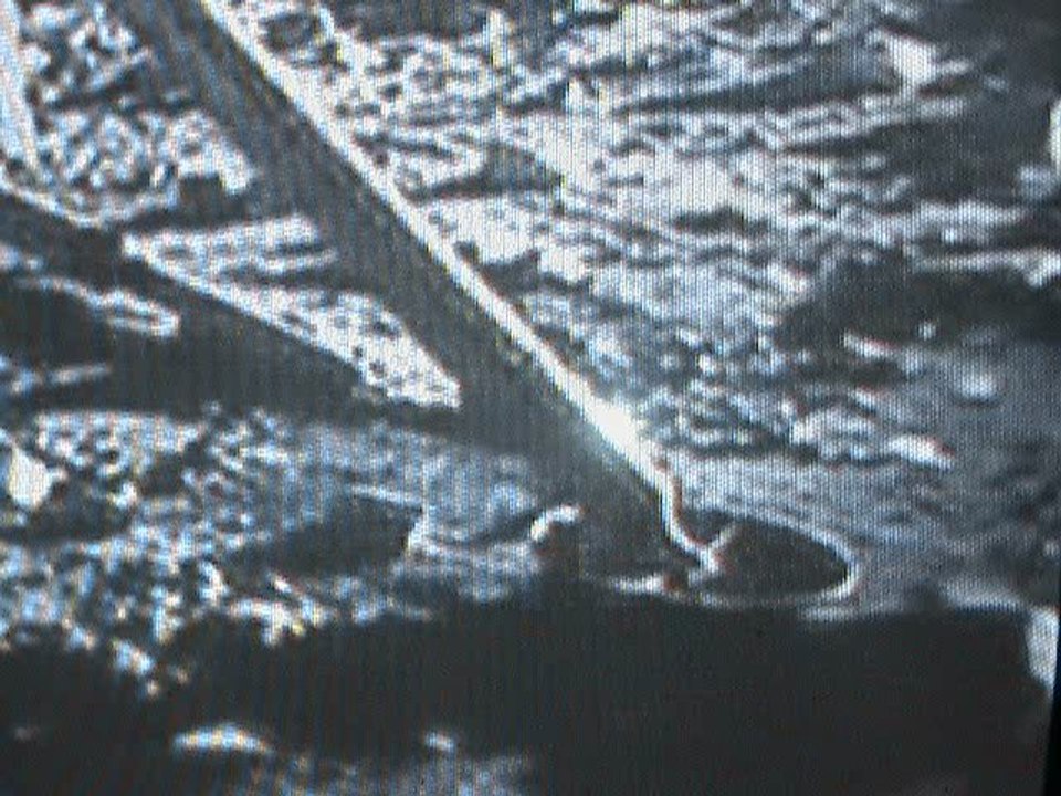Фильм_0011 APOLLO c- 19 28th moon expidition