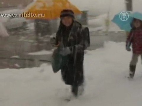 Жертвами снегопадов в Японии стало 50 человек