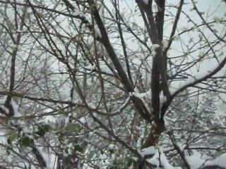 ÇATALZEYTİN''DE ÇİÇEK AÇAN ERİK AĞACI KAR ALTINDA KALDI