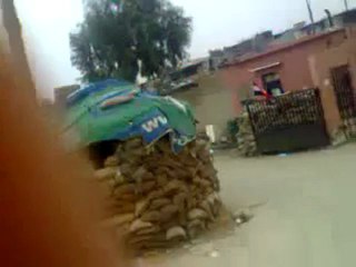 فري برس   حماه 30 1 2012 الشبيحة يقومون بتفتيش الناس في البولمان 30 1 2012