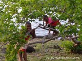 Wyspa Mauritius/ Île Maurice - PlanyNaWakacje