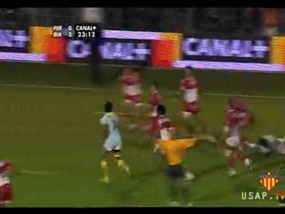 USAP - Biarritz 2008-2009