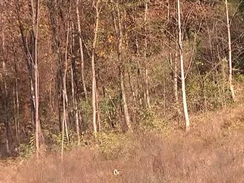 siccita allarme incendi