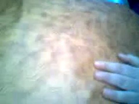 فري برس إدلب كفرنبل الشهيد فريد أحمد الموسى وطفلاه 31 1 2012