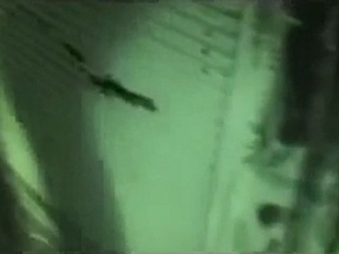 فري برس إدلب أريحا إصلاحات بشار باطلاق النار 31 1 2012 جـ2