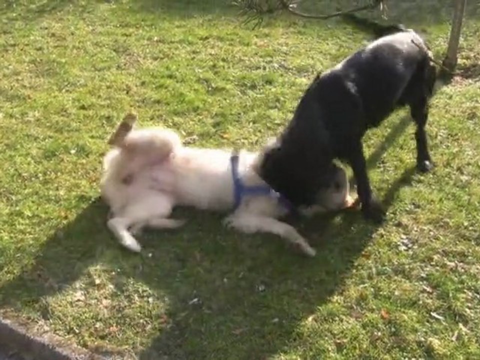 Penny und Moritz 2012